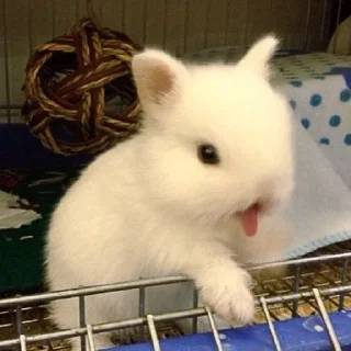 😝 emoji ᑲ𝘂࣪ᥒִ‌𝕟݁ყ࣪ 🐇 @velaris4 Telegram sticker 6 of 33