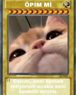 💋 emoji Ayyaşın çöplüğü Telegram sticker 9 of 120