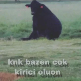 🥺 emoji Ayyaşın çöplüğü Telegram sticker 23 of 120