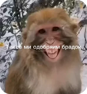 🌟 emoji Пак нейрика 3 Telegram sticker 12 of 50