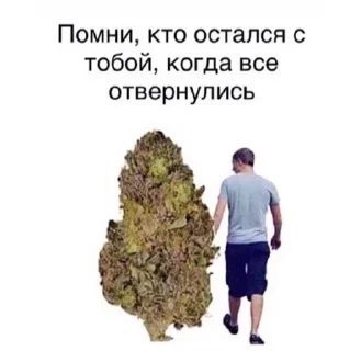 😔 emoji я ебал меня сосали Telegram sticker 13 of 111