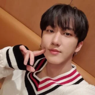 💌 emoji 𖥔 𓂃stray kids﹫♡ @helpiksted Telegram sticker 13 of 85