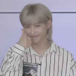 💌 emoji 𖥔 𓂃stray kids﹫♡ @helpiksted Telegram sticker 7 of 85