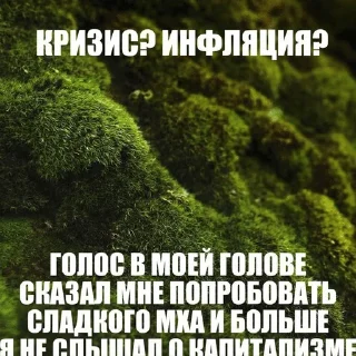 🌿 emoji Мшистые мхи в лесу Telegram sticker 12 of 57