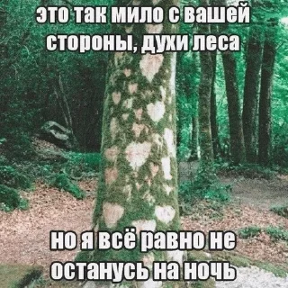 🌿 emoji Мшистые мхи в лесу Telegram sticker 24 of 57