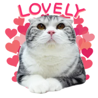 😍 emoji Messenger Kingdom of Tigers Telegram sticker 18 of 25