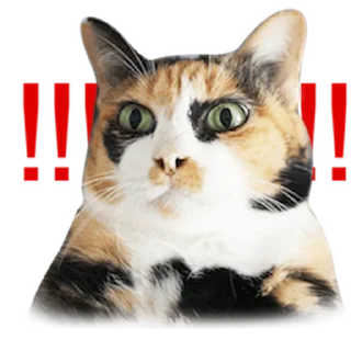 ❗️ emoji Messenger Kingdom of Tigers Telegram sticker 6 of 25