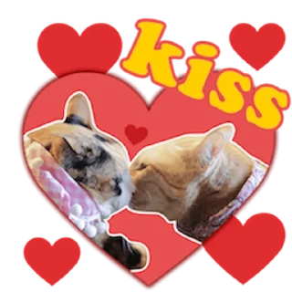 😽 emoji Messenger Kingdom of Tigers Telegram sticker 12 of 25