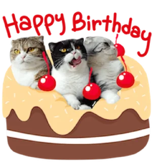 🎂 emoji Messenger Kingdom of Tigers Telegram sticker 16 of 25