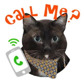 📱 emoji Messenger Kingdom of Tigers Telegram sticker 14 of 25