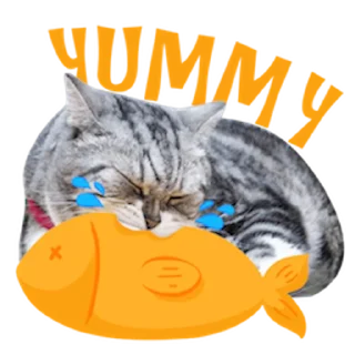 🐟 emoji Messenger Kingdom of Tigers Telegram sticker 20 of 25