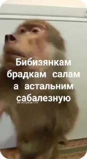 Sticker from Пак Нейрика 4