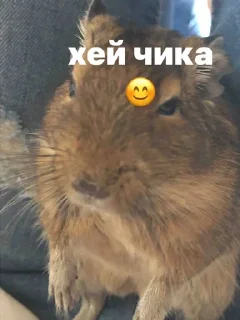 😉 emoji финн🤝🏿 Telegram sticker 11 of 14