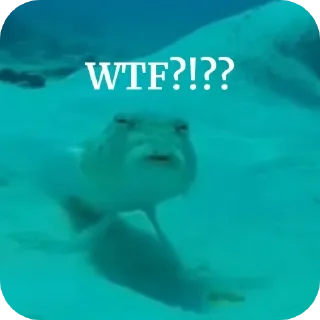 👎 emoji Какой же я пиздатый Telegram sticker 13 of 108