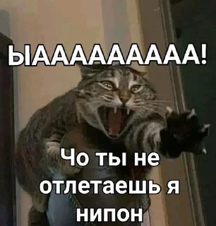 🩸 emoji Мемы осд и не только Telegram sticker 7 of 22