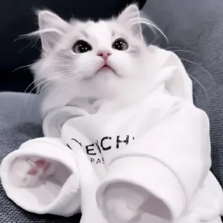 💕 emoji няша Telegram sticker 7 of 35