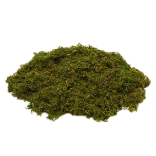 🥦 emoji Мшистые мхи в лесу Telegram sticker 23 of 57