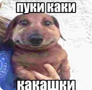🐕 emoji пульт от бодяги Telegram sticker 22 of 43