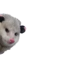 Sticker from REAL Poss Stickers