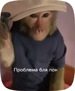 🇲🇪 emoji Обезьянки поны 7 Telegram sticker 6 of 39