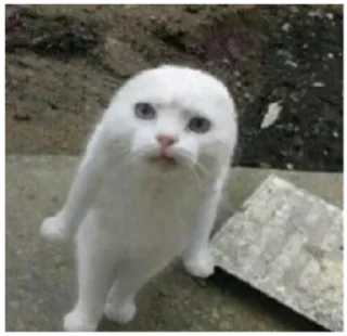 😐 emoji очко бабки Telegram sticker 21 of 95