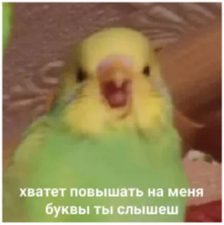 😳 emoji очко бабки Telegram sticker 13 of 95
