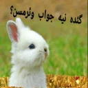 😤 emoji 🐰دوشان🐰 Telegram sticker 15 of 52