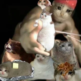 Sticker from Crying Cat Deluxe Evolution