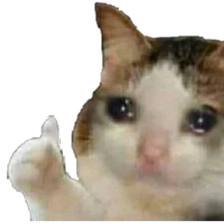 😭 emoji ABO ALYAMAN Telegram sticker 10 of 119