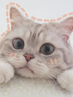 Sticker from Cute kittens