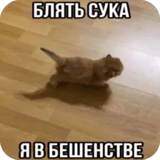🫥 emoji goyda Telegram sticker 20 of 80