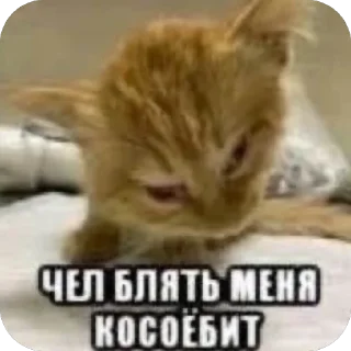 🫥 emoji goyda Telegram sticker 17 of 80