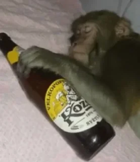 🍺 emoji Mono 2 Telegram sticker 16 of 57
