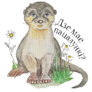 Sticker from Otters of Belarus