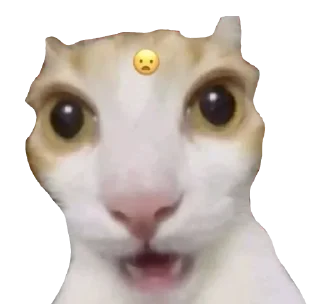 😦 emoji cursed Telegram sticker 20 of 20