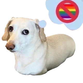 🚫 emoji cursed Telegram sticker 8 of 20