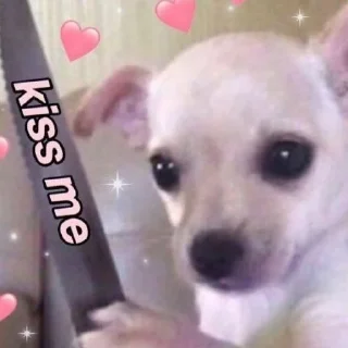🔪 emoji Me&you Telegram sticker 18 of 61