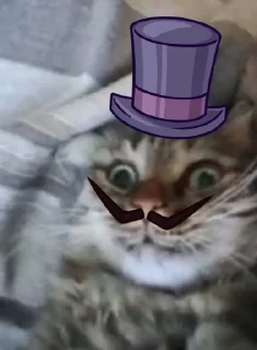 🎩 emoji Chupa Telegram sticker 5 of 35
