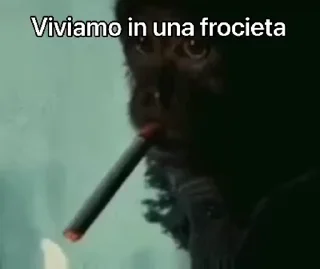 🙊 emoji Shitpost Ita GIF - @safesticker Telegram sticker 14 of 24