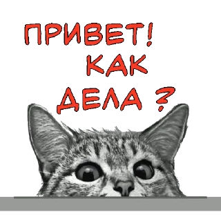 😂 emoji KAK_VY_P1 Telegram sticker 4 of 6