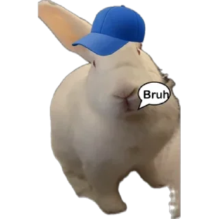 🤦 emoji FROSTY IN DA HOUSE Telegram sticker 15 of 19