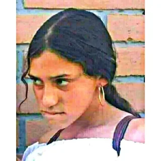 🔥 emoji Memes dz Telegram sticker 24 of 62