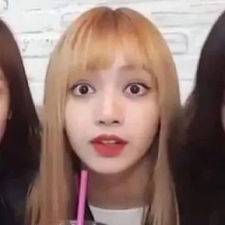 Sticker from ༊ʟɪsᴀ♡ྀུ྇️ @Blackpink_stickerr4 