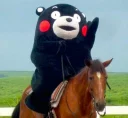 🐴 emoji Kumamon by @Torton Telegram sticker 5 of 79