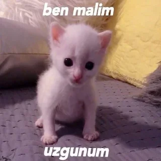 😔 emoji Sevimli Moodum 💖 Telegram sticker 21 of 70