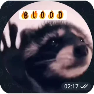 🐱 emoji Gabriele e Blood ♥️♥️♥️ Telegram sticker 11 of 19
