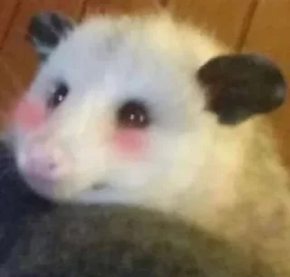 😊 emoji Opossum Telegram sticker 1 of 39