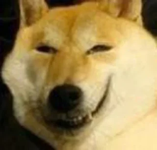 🙂 emoji Retarded shit Telegram sticker 6 of 34