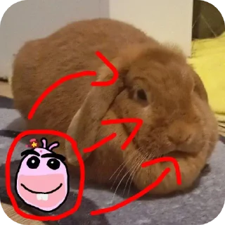 🐇 emoji Бебра гдшер Telegram sticker 15 of 18