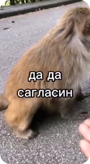 🌟 emoji Пак нейрика 2 Telegram sticker 21 of 50